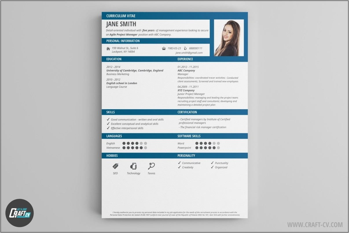 Resume Templates For Construction Professionals