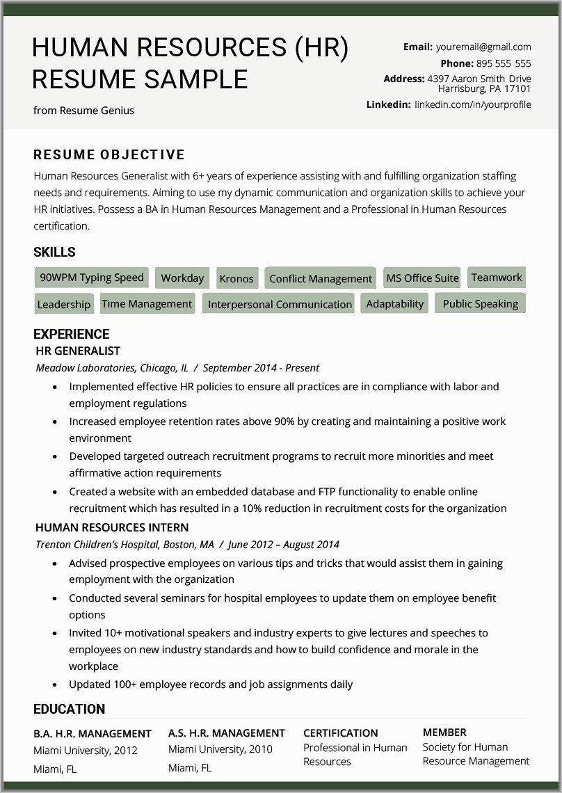 Resume Templates For Finance Professionals