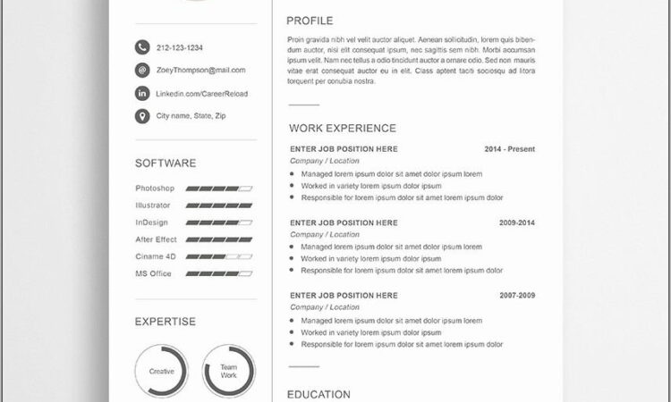 Resume Templates For Free Download