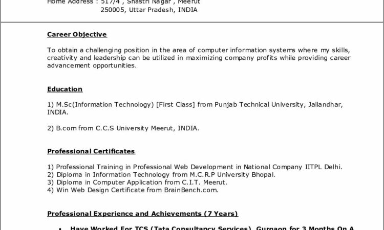 Resume Templates For Freshers Online