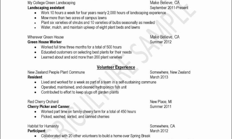 Resume Templates For High School Students