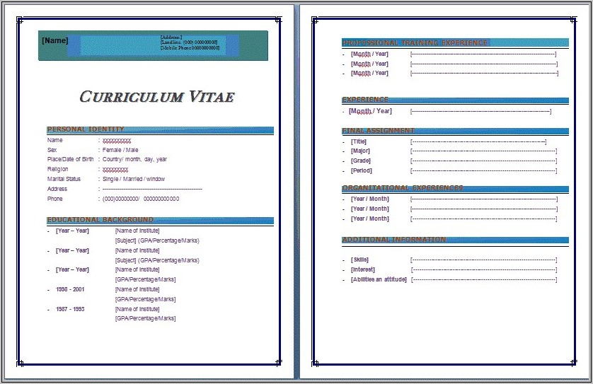 Resume Templates For Ms Word 2007
