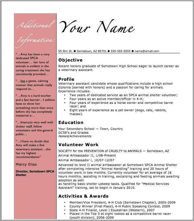 Resume Templates For Nursing Positions