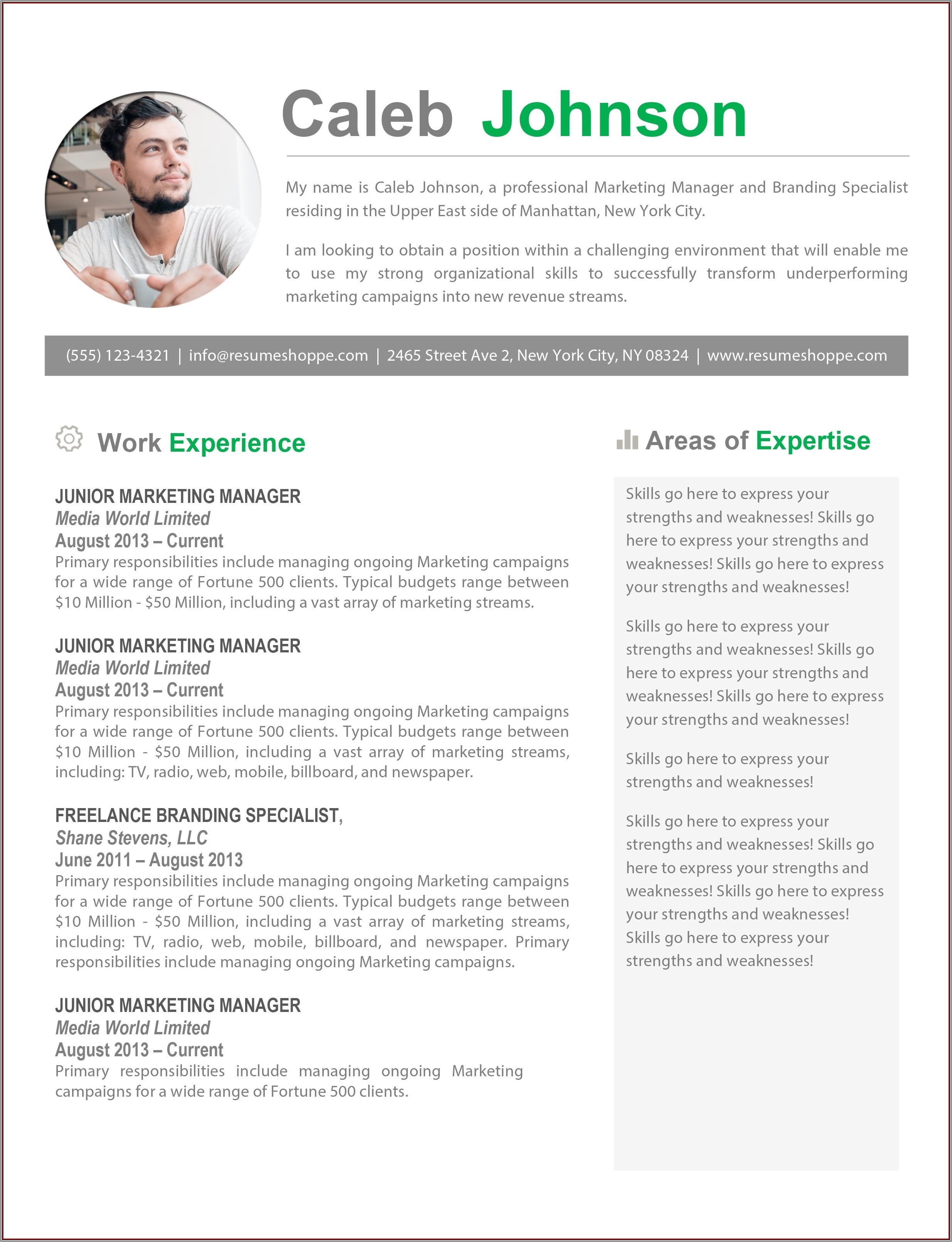 Resume Templates For Pages Mac Free