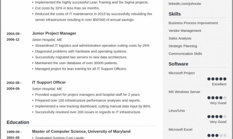 Resume Templates For Professional