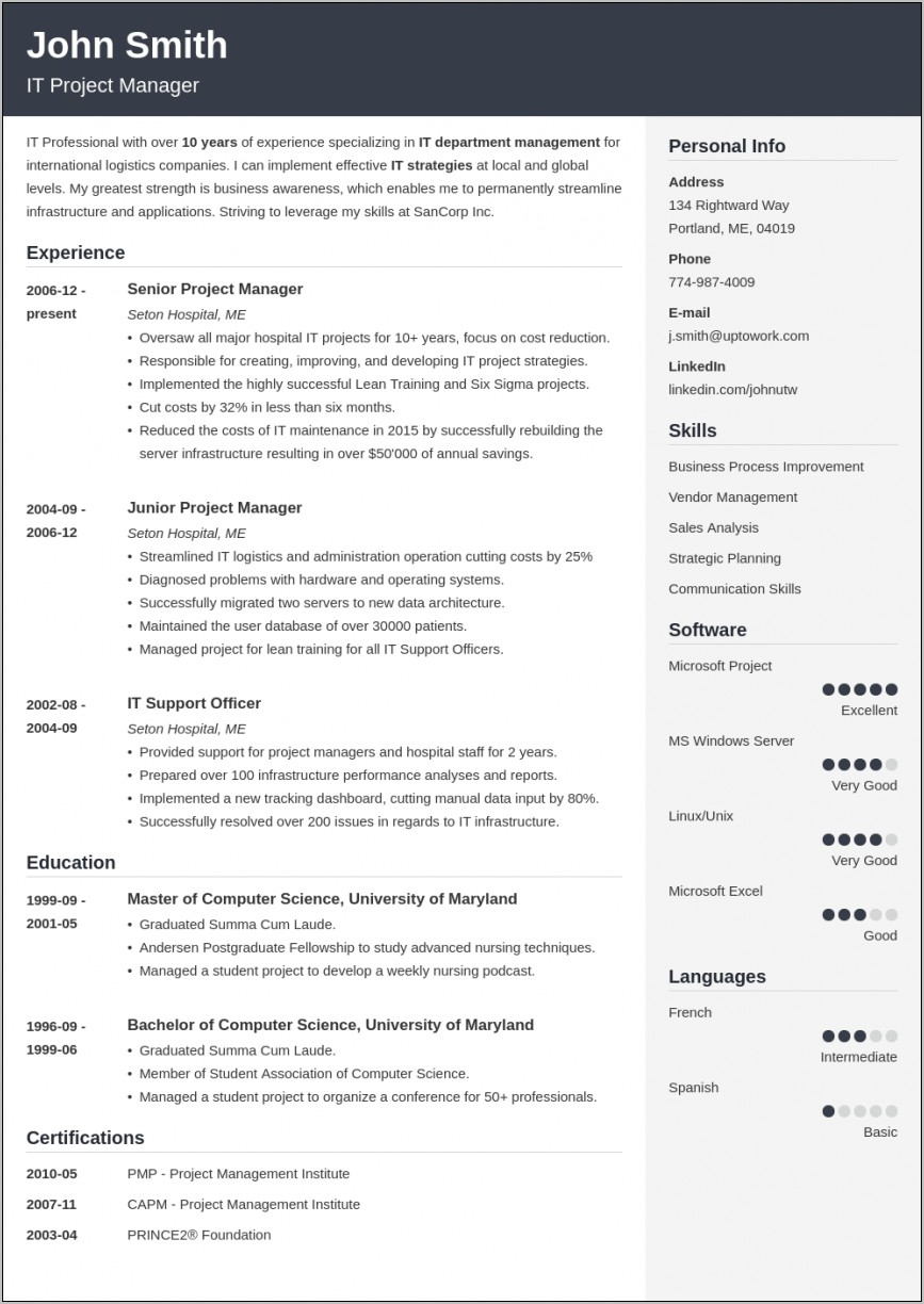 Resume Templates For Professional