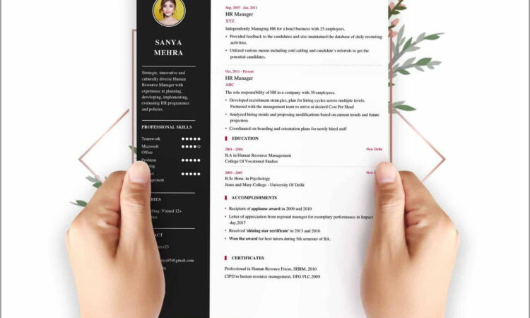 Resume Templates For Professionals Free Download