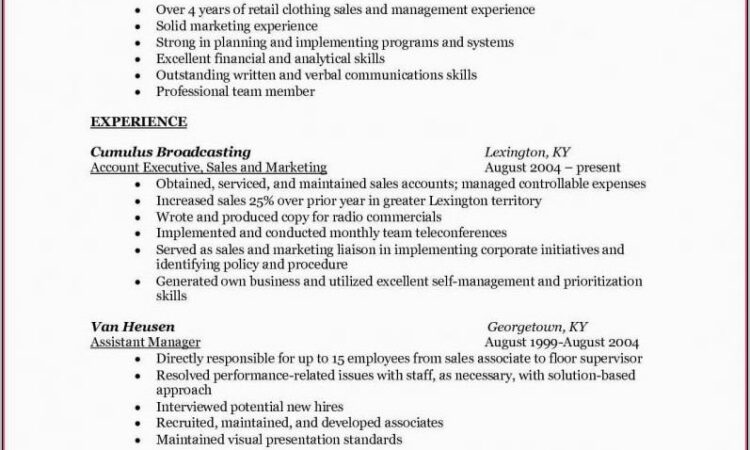 Resume Templates For Sales And Marketing