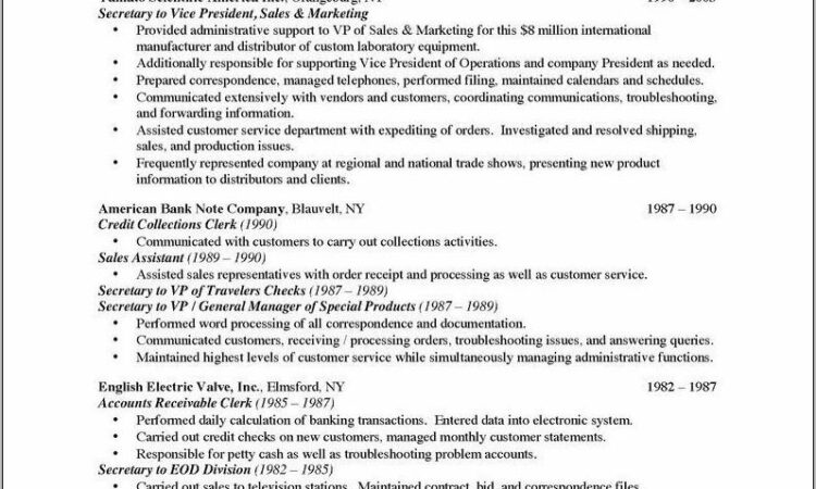 Resume Templates For Sales Executive