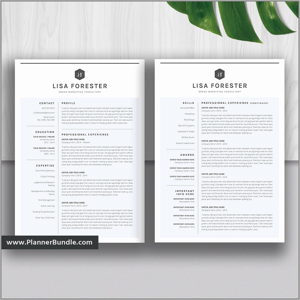 Resume Templates For Sales Professionals