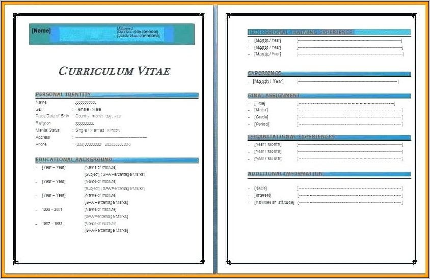 Resume Templates For Word 2010 Free