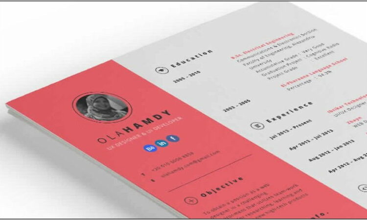 Resume Templates Indesign Free