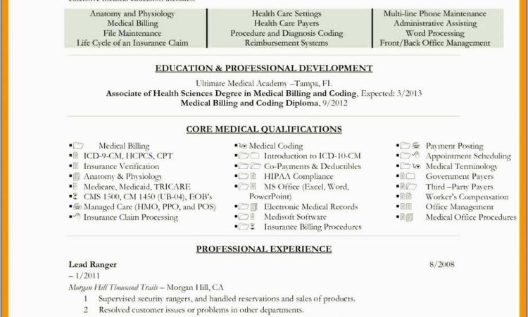 Resume Templates Microsoft Word Starter 2010