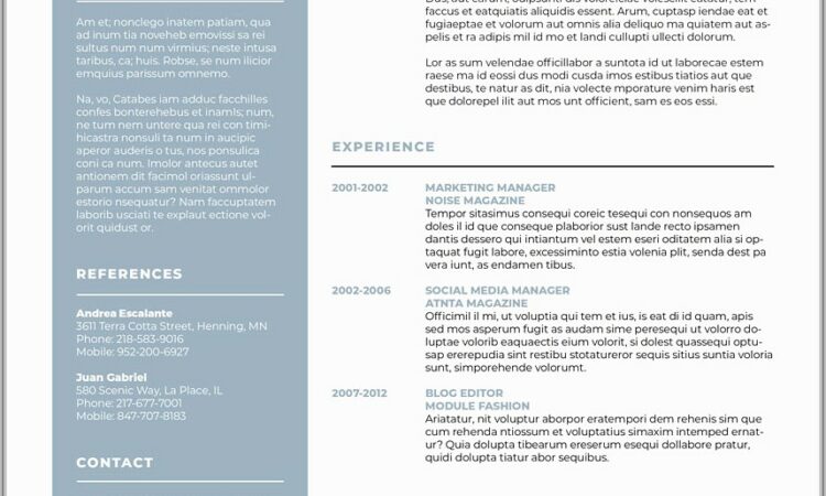 Resume Templates Word 2003 Free Downloads