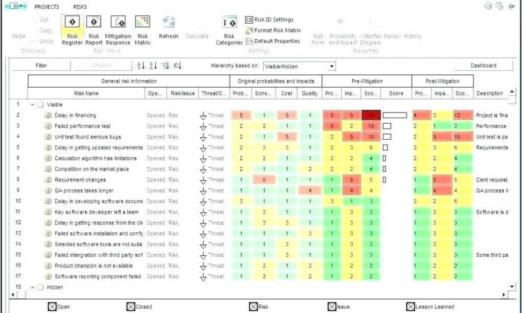 Risk And Control Self Assessment Template Xls