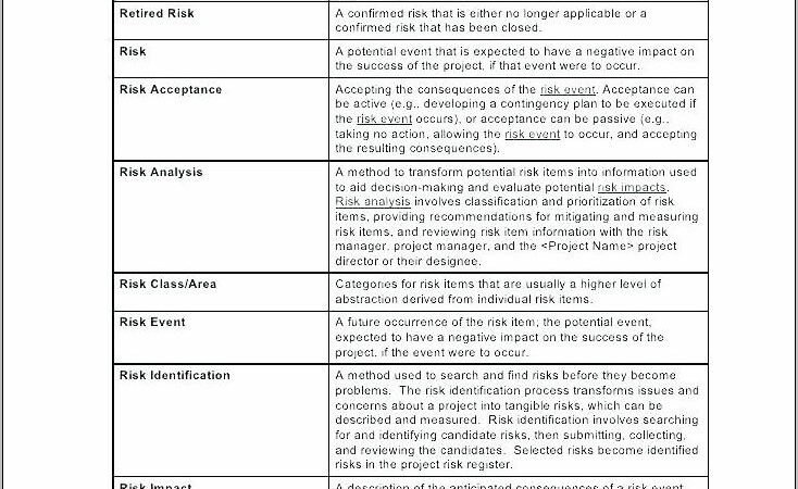 Risk Mitigation Plan Format