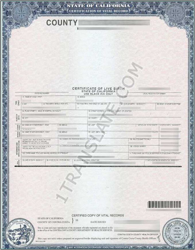 Russian Birth Certificate Translation Template