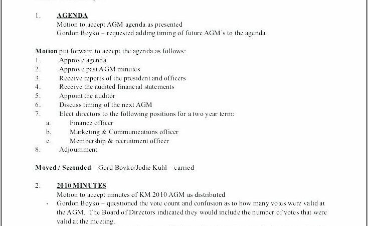 S Corp Annual Meeting Minutes Template