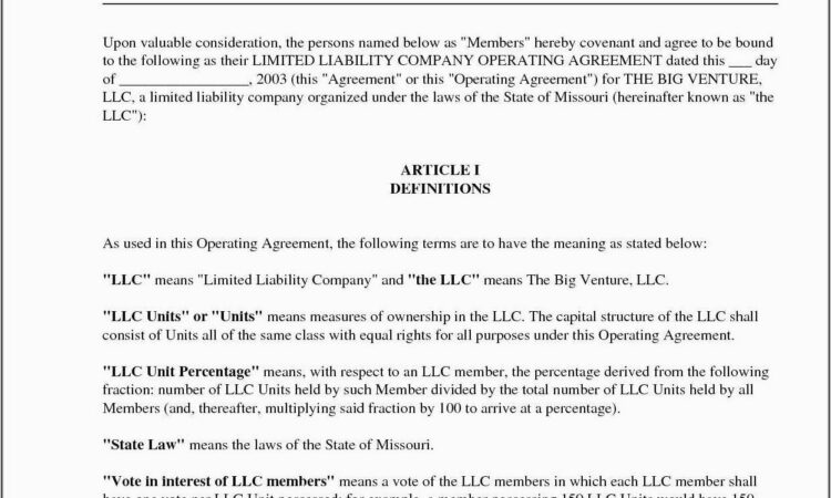 S Corp Bylaws Sample