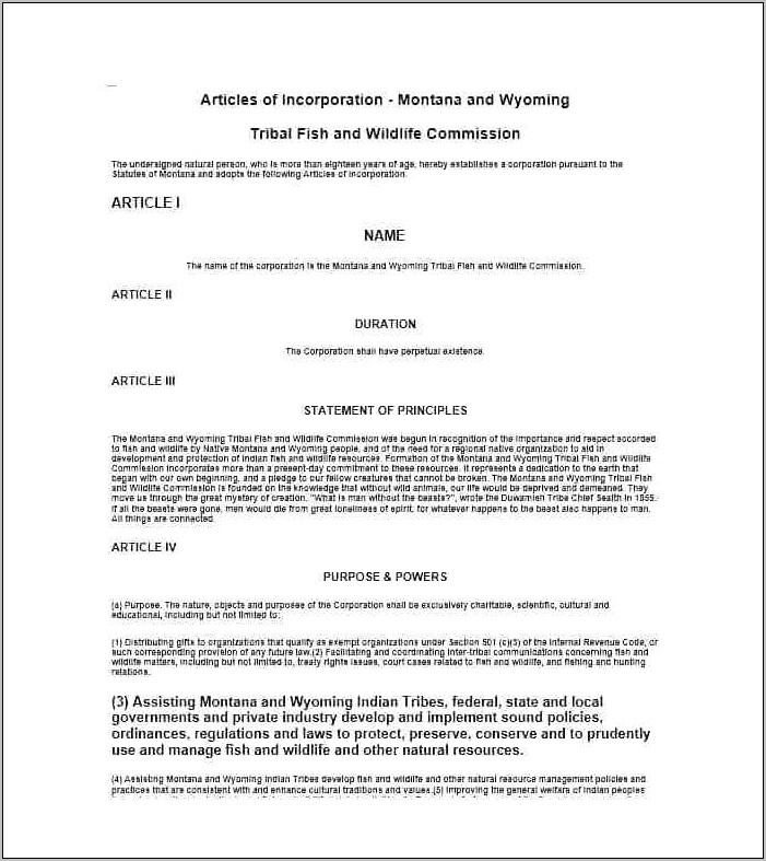 S Corporation Articles Of Incorporation Template