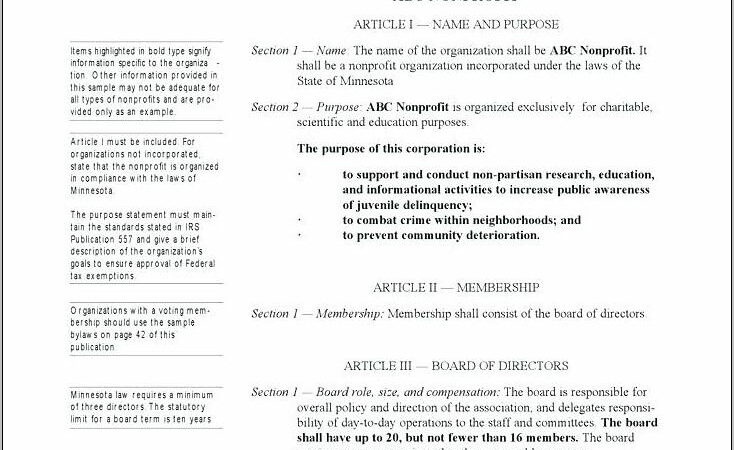 S Corporation Bylaws Example