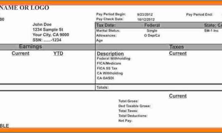 Salary Pay Stub Sample