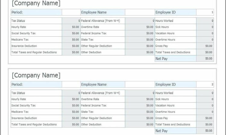 Salary Paycheck Stub Template