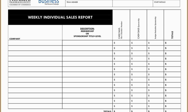 Sales Activity Report Format