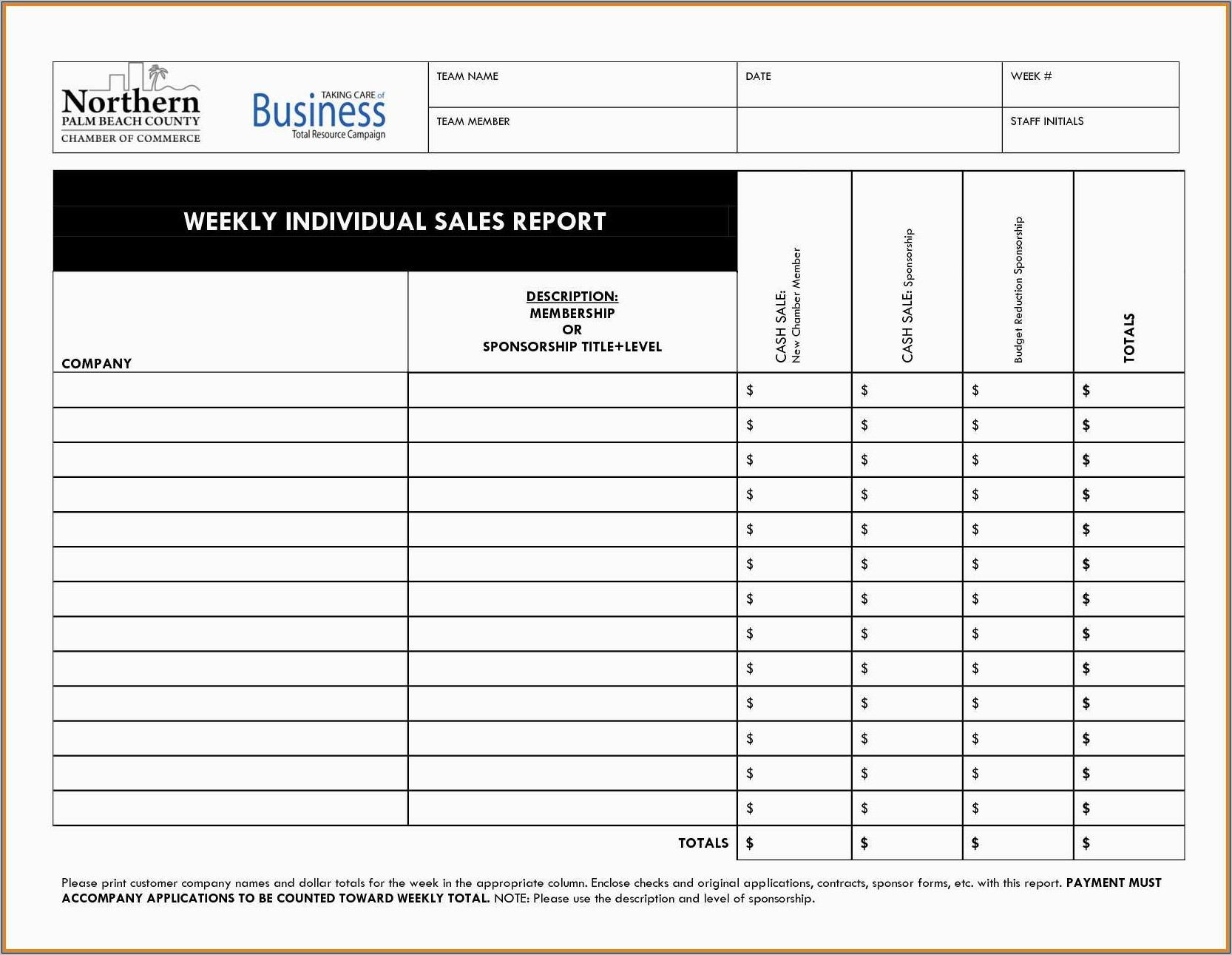 Sales Activity Report Format