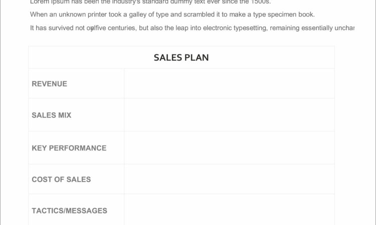 Sales Business Plan Templates