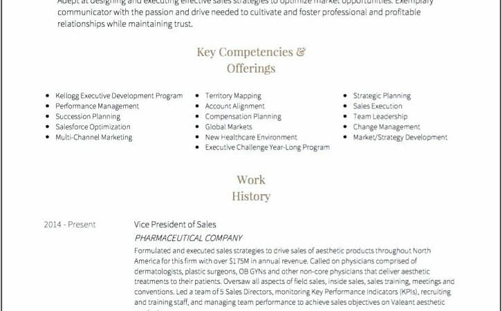 Sales Executive Cv Template Free