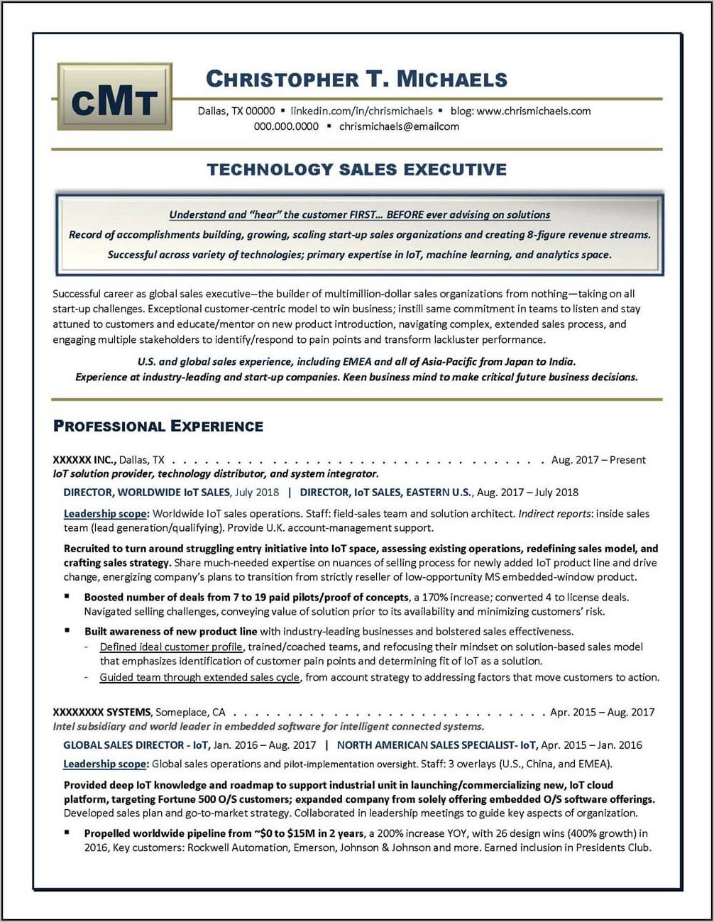 Sales Executive Resume Example