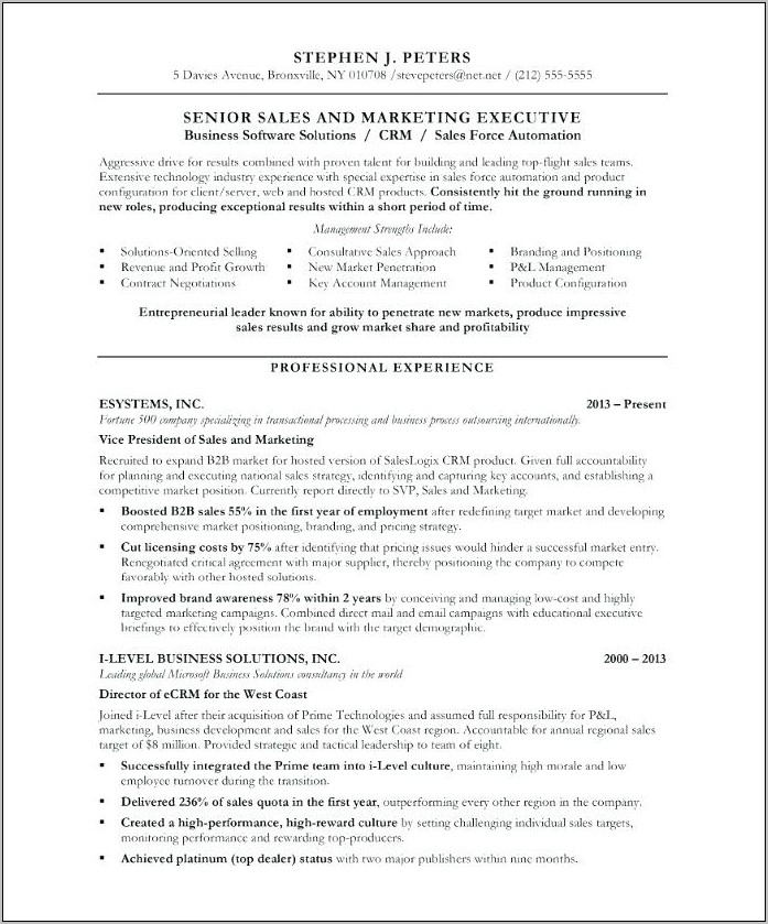 Sales Executive Resume Examples 2017