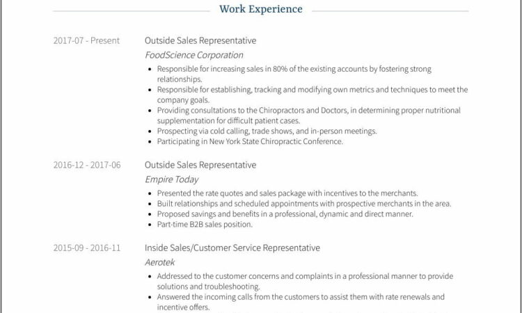 Sales Representative Job Description Sample Resume