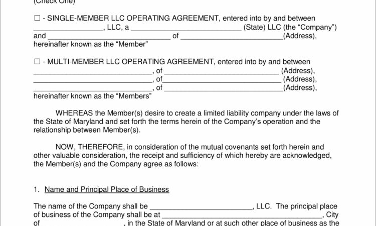 Sample Articles Of Incorporation Llc Maryland