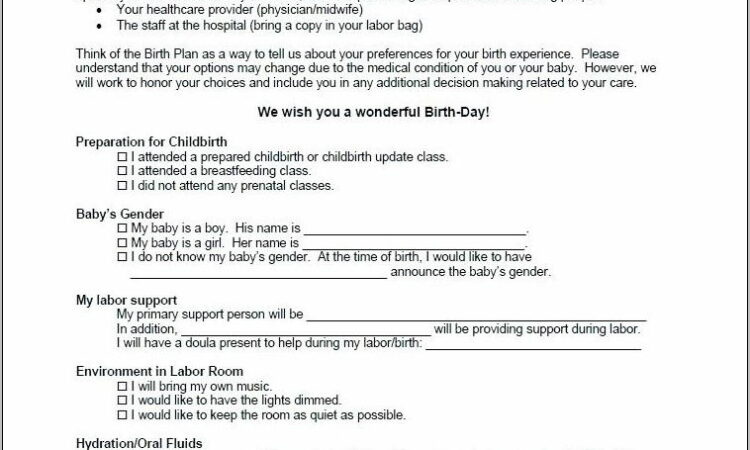 Sample Birth Plan For Scheduled C Section