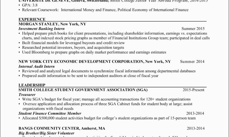 Sample Curriculum Vitae For Bankers