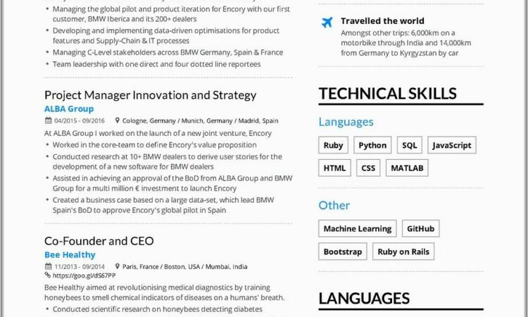 Sample Cv For Project Manager