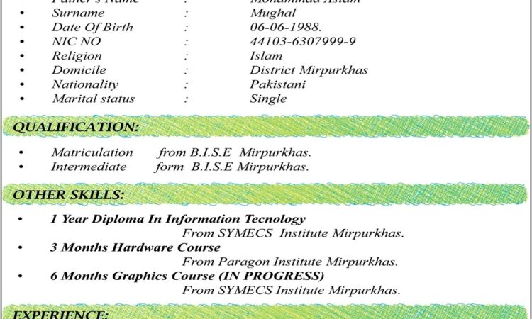 Sample Cv Format Doc Free Download