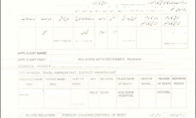 Sample Divorce Papers Pakistan