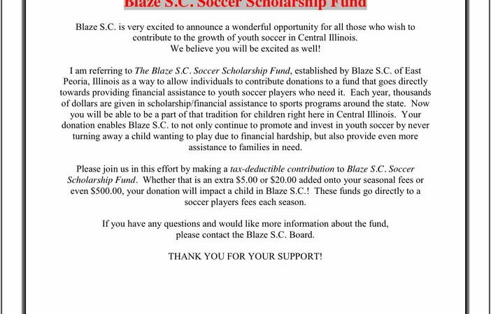 Sample Donation Request Letter Pdf