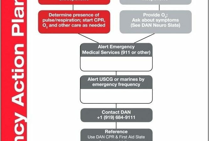 Sample Emergency Action Plan For Sports