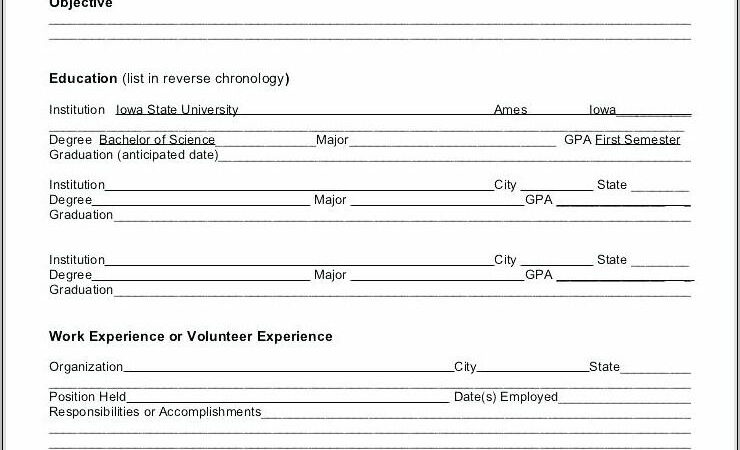 Sample Fill In Resume Template Pdf