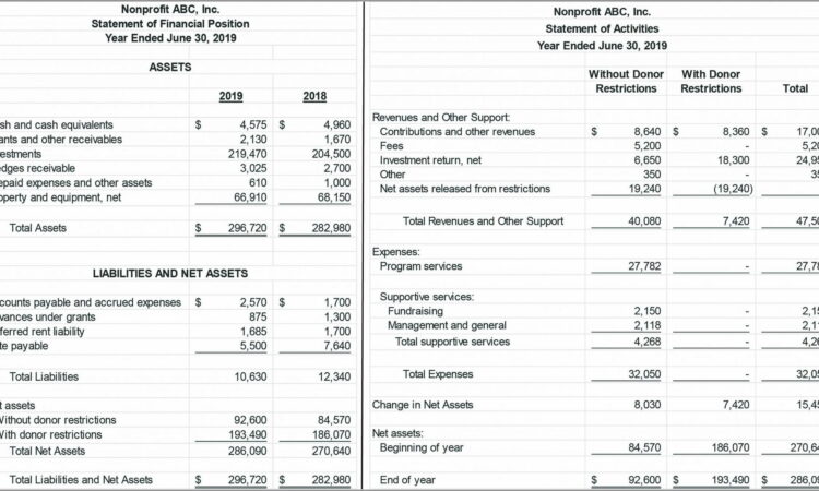 Sample Financial Statements For Non Profit Organisations