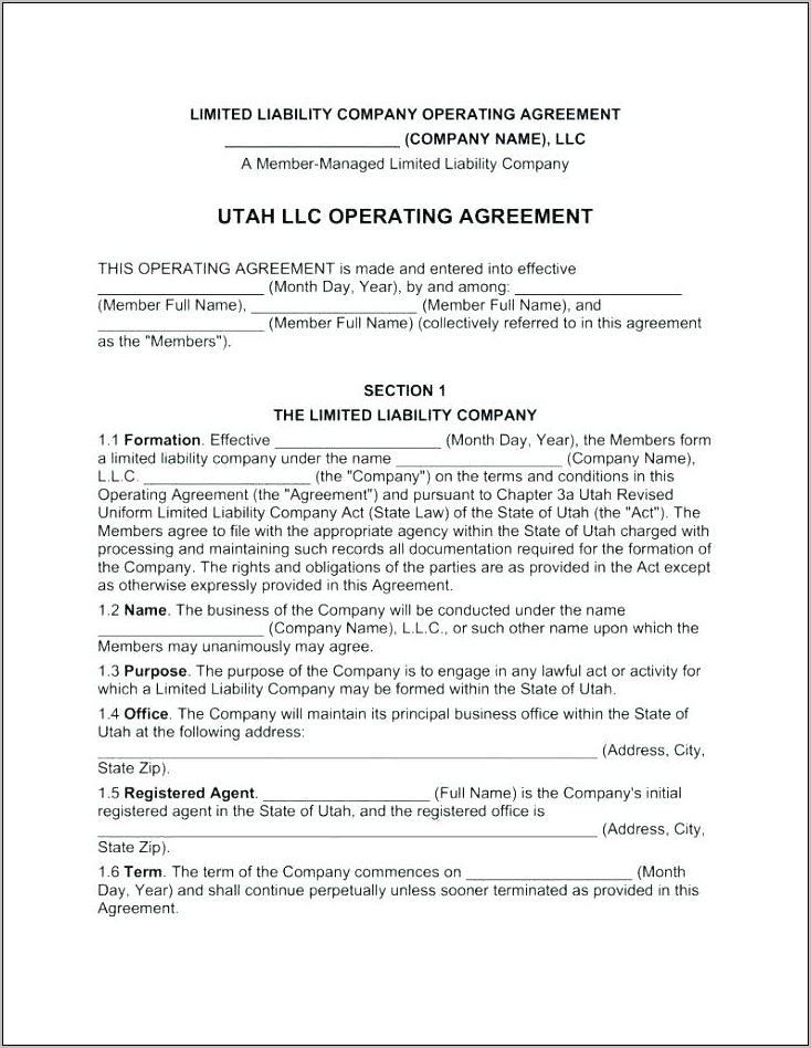 Sample Florida Single Member Llc Operating Agreement