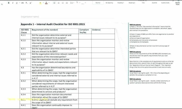 Sample Internal Audit Checklist Form