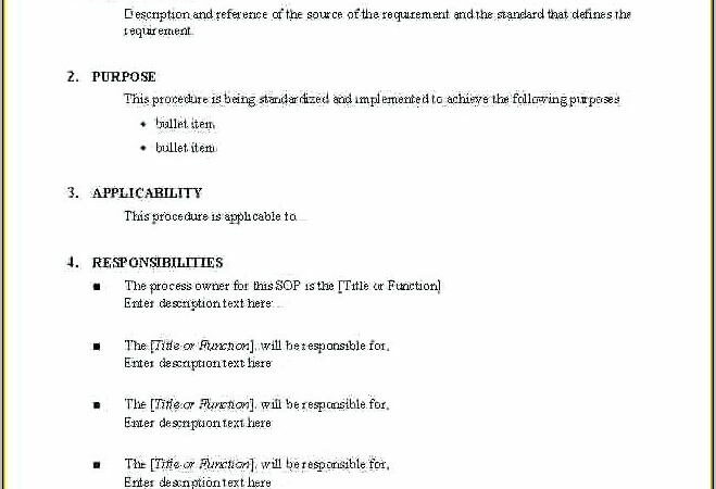 Sample Iso Procedure Format