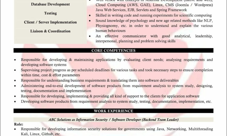 Sample Java Developer Resume Format