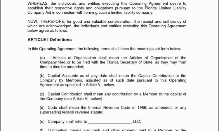 Sample Llc Operating Agreement Florida