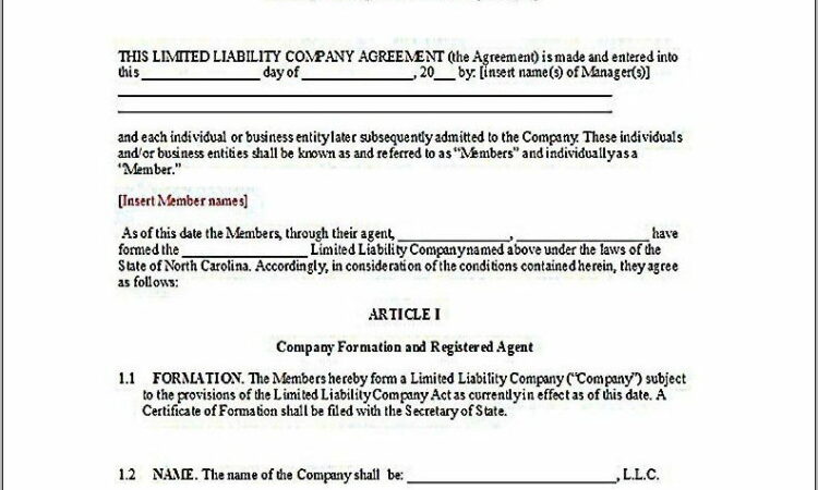 Sample Llc Operating Agreement Template